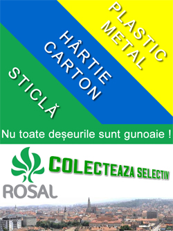 rosal2.jpg