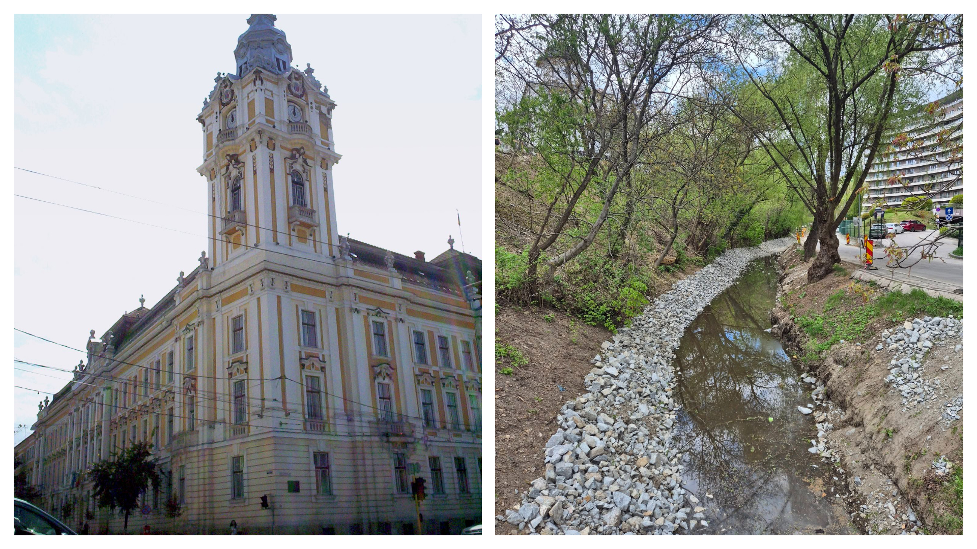 Conflictul de pe Canalul Morii continuă: Primăria Cluj răspunde criticilor și explică de ce soluțiile „naturale” nu pot fi aplicate în Parcul Rozelor