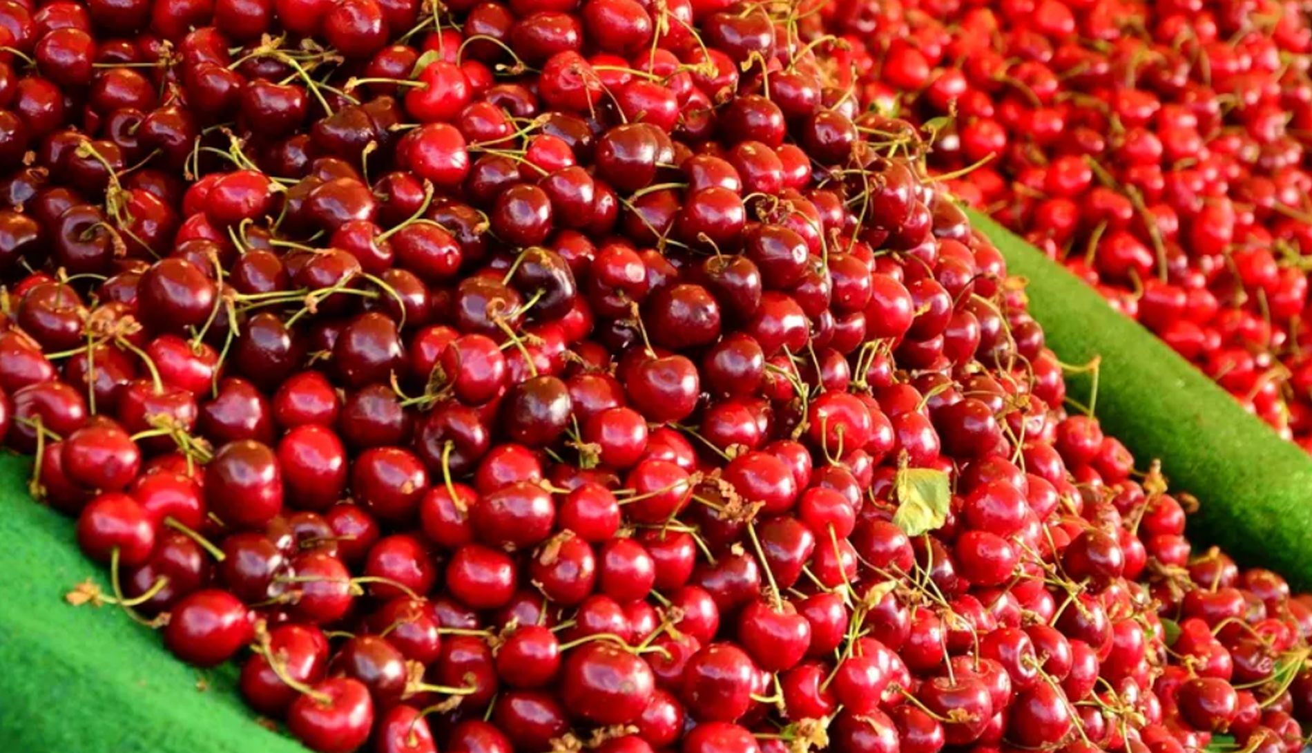 Care criză? Kilogramul de cireșe a ajuns la 180 de lei în piețe, dar românii le cumpără fără să clipească. Vânzătorii sunt uimiți: „Se dau ca pâinea caldă”