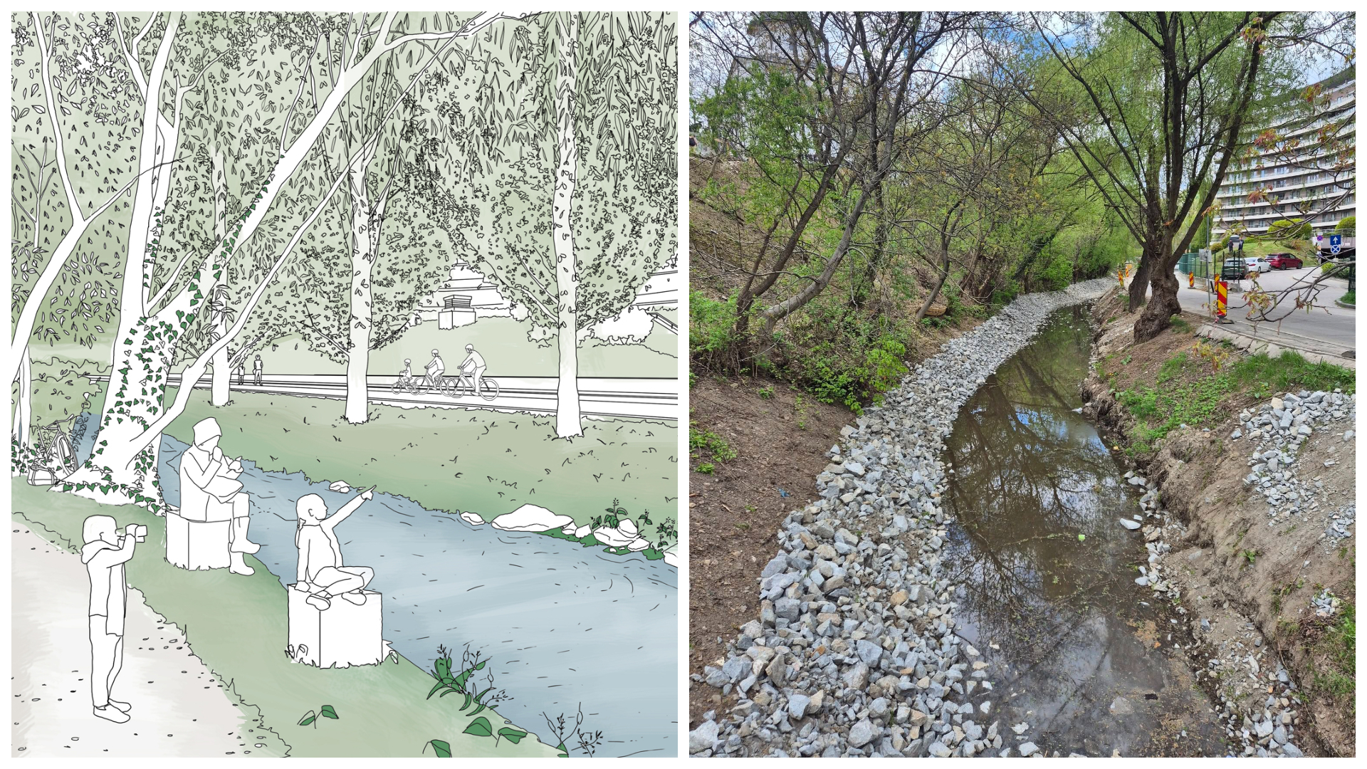 Revoltă în Cluj-Napoca: Lucrările de pe Canalul Morii din Parcul Rozelor, arătate cu degetul de activiști. „Este o soluție greșită și inutil invazivă”