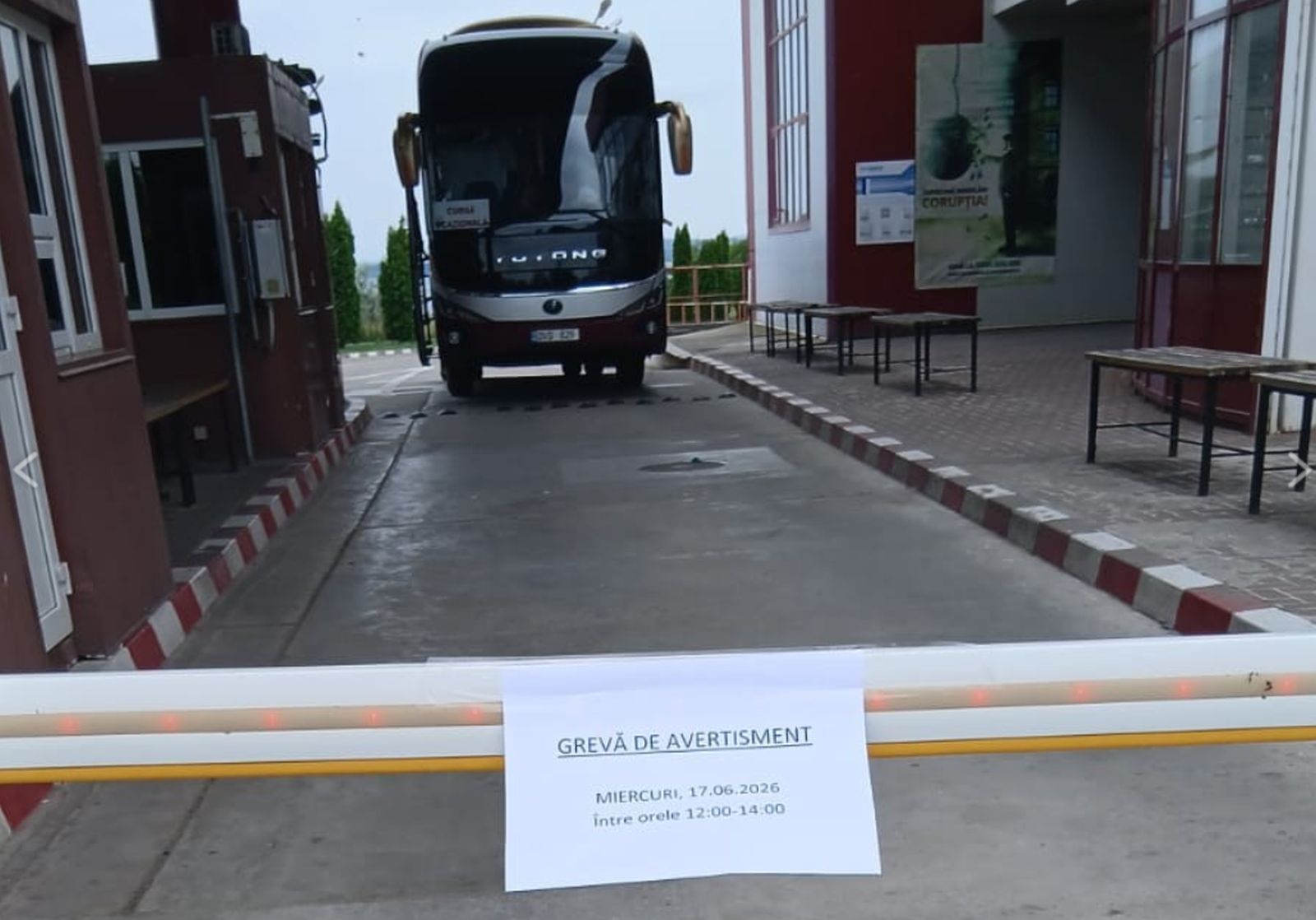 Vămile din România vor fi blocate! Angajații anunță grevă generală inclusiv în Portul Constanța. Sătui de promisiuni, profesorii ies și ei în stradă