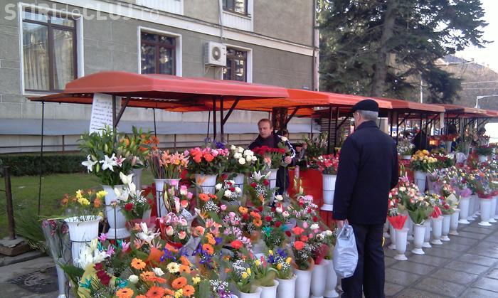 Flori de 80.000 de euro puse in vanzare la Cluj, de Dragobete