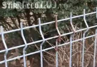 In urma accidentului de duminica, primaria Cluj-Napoca ia in calcul modificarea gardurilor!  