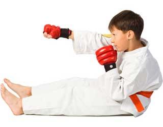 Un antrenor de Karate din Zalau, arestat pentru pornografie infantila!