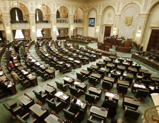 Senatorii au votat ca bijuteriile si tablourile sa nu mai fie trecute in declaratile de avere