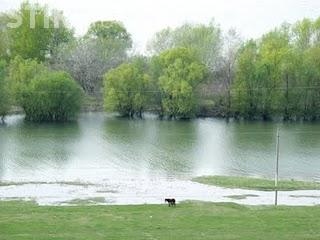 1.700 de hectare de terenuri agricole au fost afectatee de inundatiile din ultima saptamana