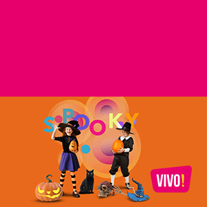 2_VIVO_CJ_LOCAL-DISPLAY_300x300px.gif