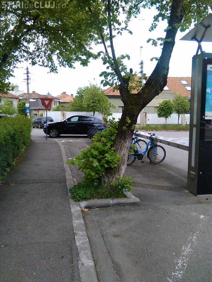 Piața Engels, noul rai al cocalarilor cu mașini de lux. Toți trag la