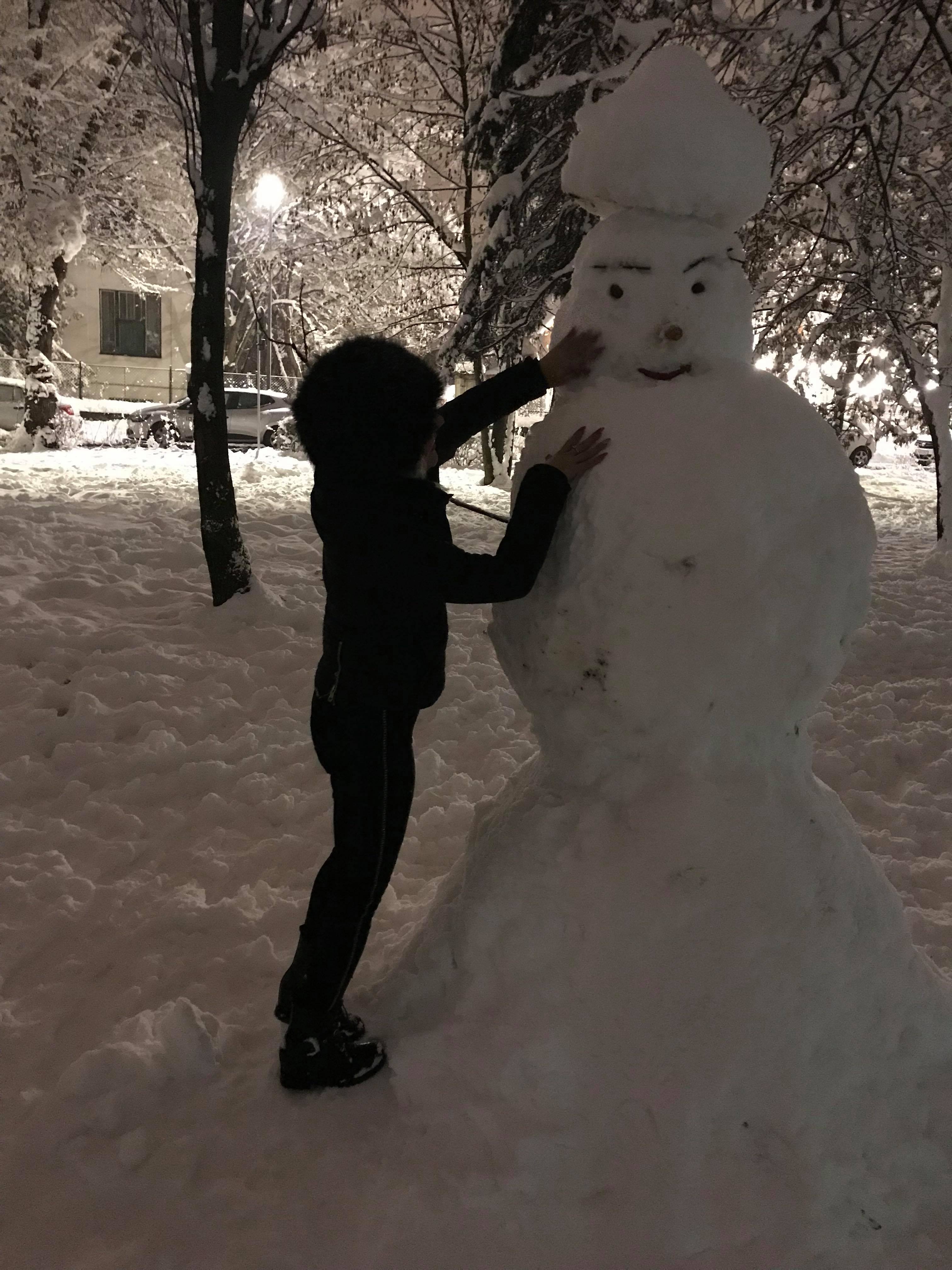 Parcul Central Din Cluj Plin Cu Oameni De Zăpadă Iarnă Superbă