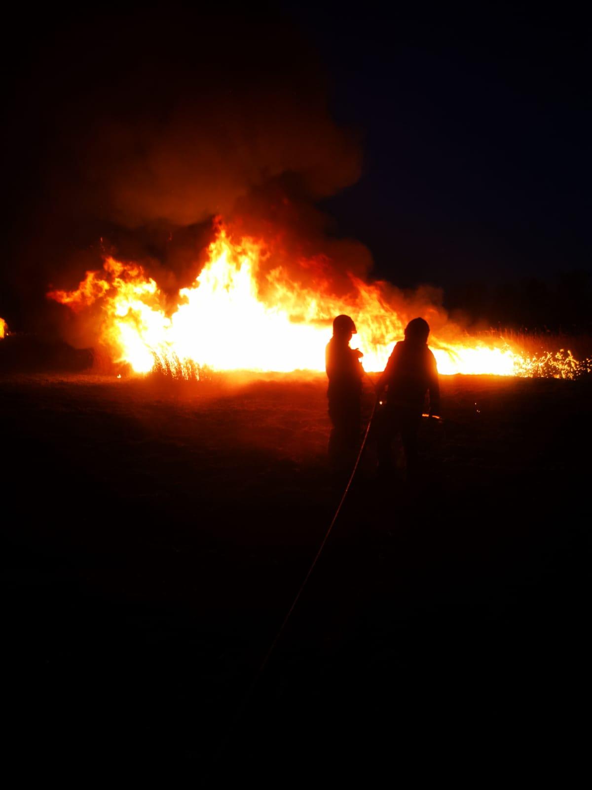 WhatsApp Image 2020-03-19 at 21.04.21.jpeg