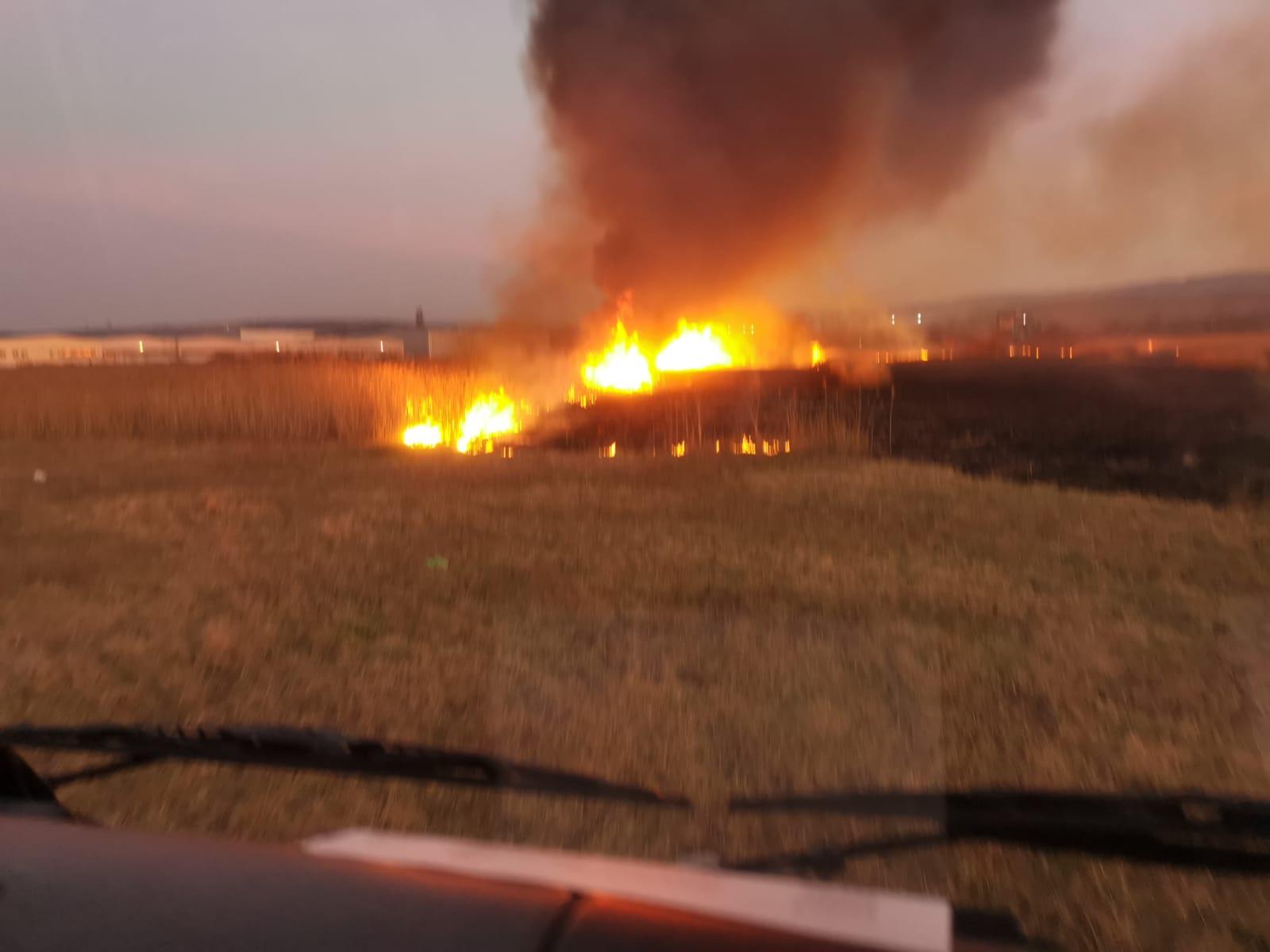 WhatsApp Image 2020-03-19 at 21.04.20.jpeg