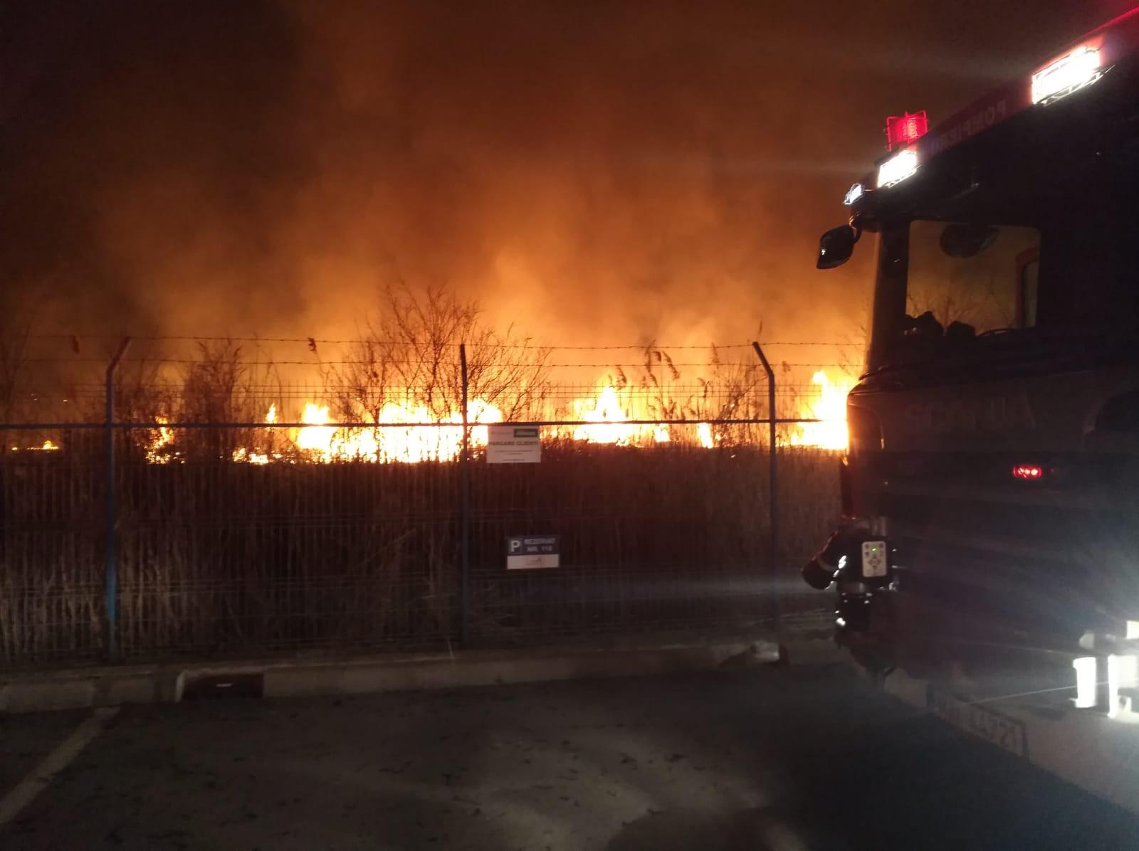 WhatsApp Image 2020-03-19 at 21.04.19.jpeg