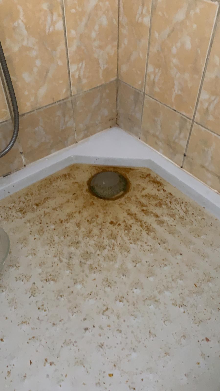 WhatsApp Image 2020-03-12 at 14.14.46.jpeg