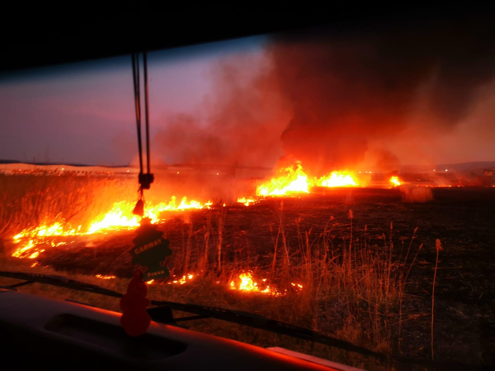 WhatsApp Image 2020-03-19 at 21.04.20 (1).jpeg