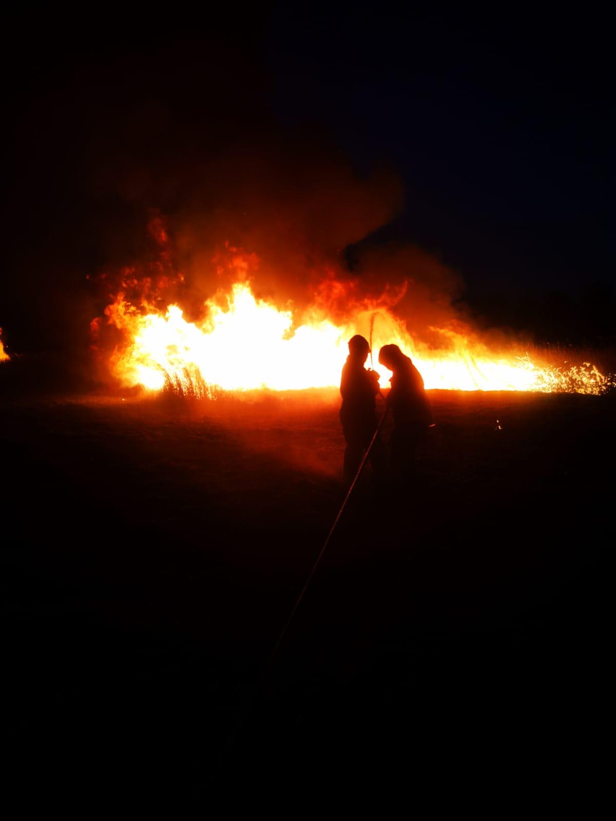 WhatsApp Image 2020-03-19 at 21.04.20 (2).jpeg