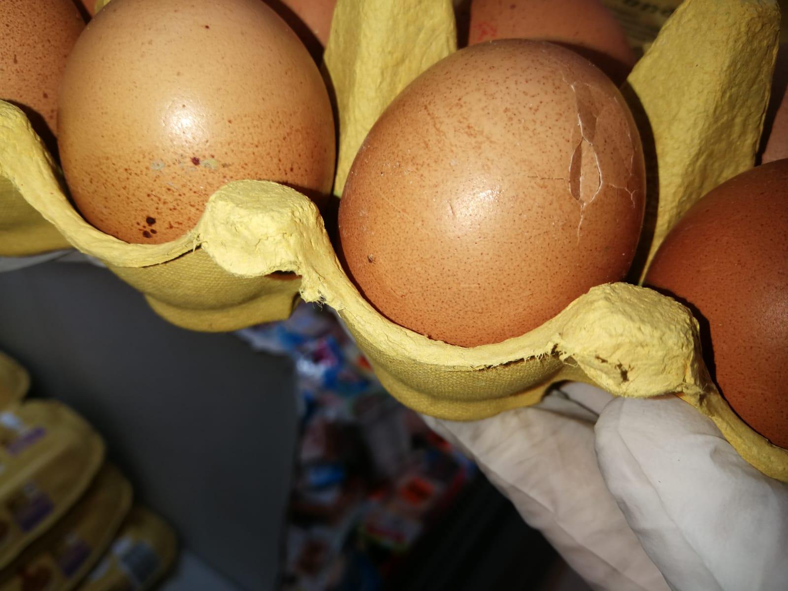 WhatsApp Image 2020-04-14 at 16.21.55.jpeg