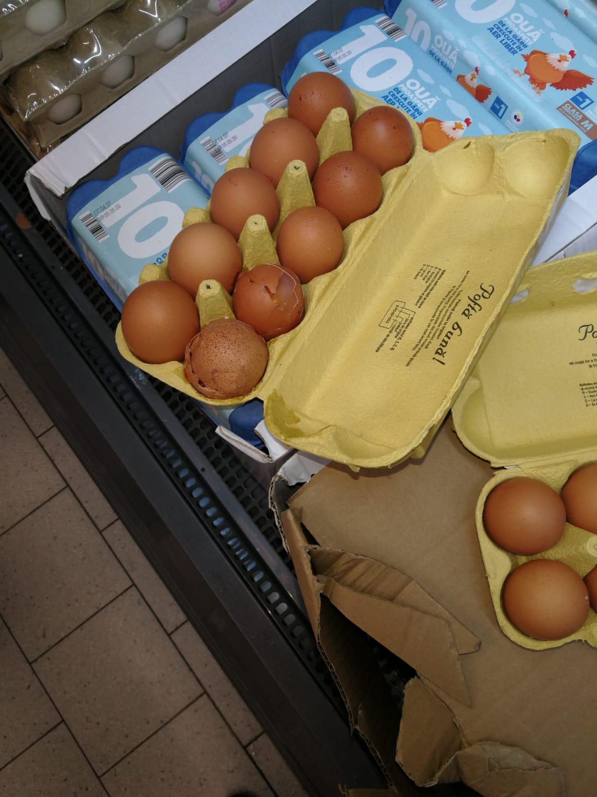 WhatsApp Image 2020-04-14 at 16.21.54.jpeg