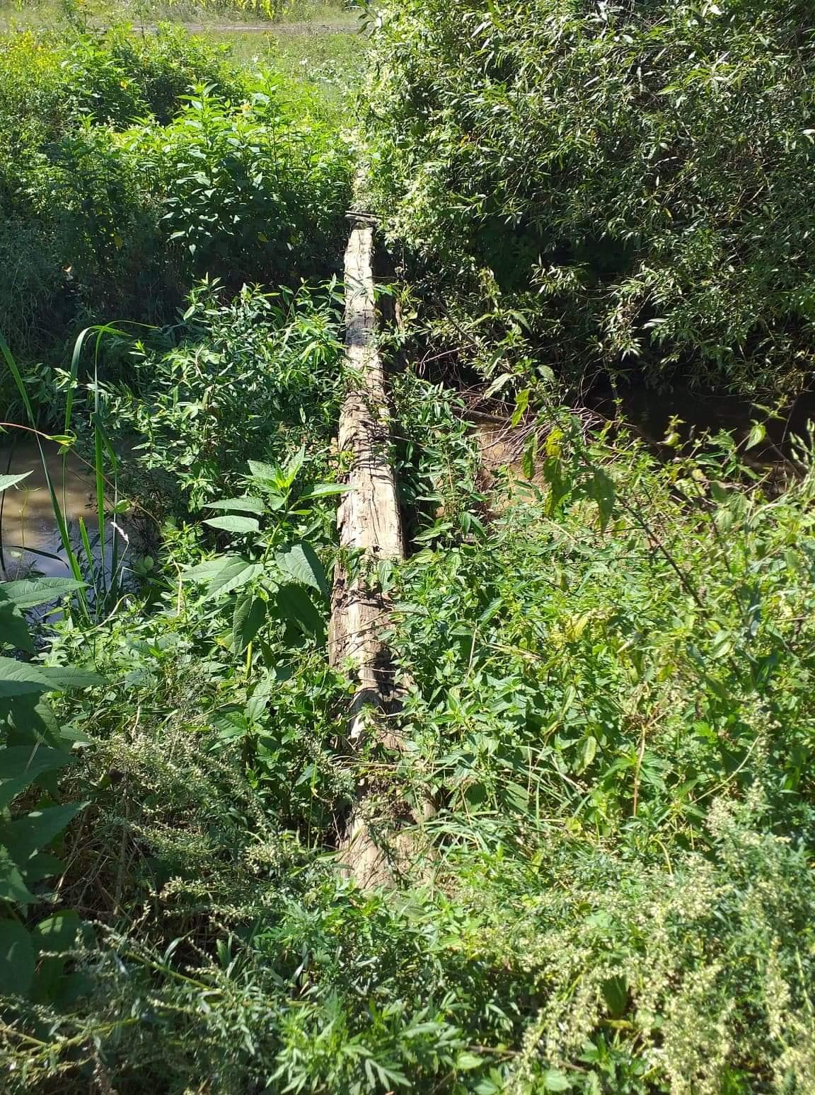 received_743339926233905 (1).jpeg