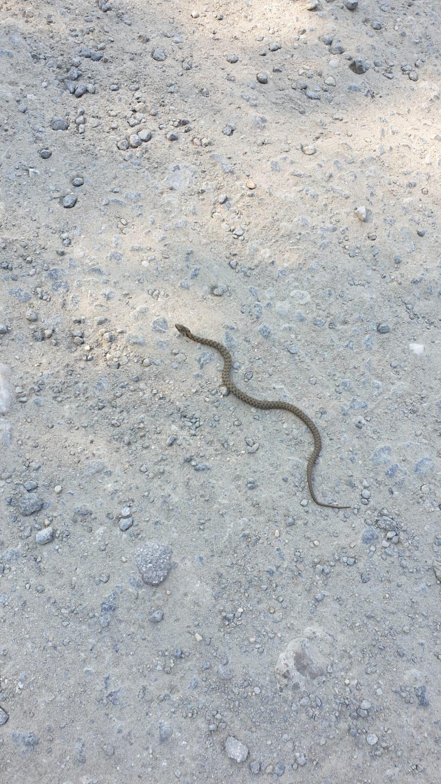 WhatsApp Image 2020-09-11 at 16.31.45.jpeg