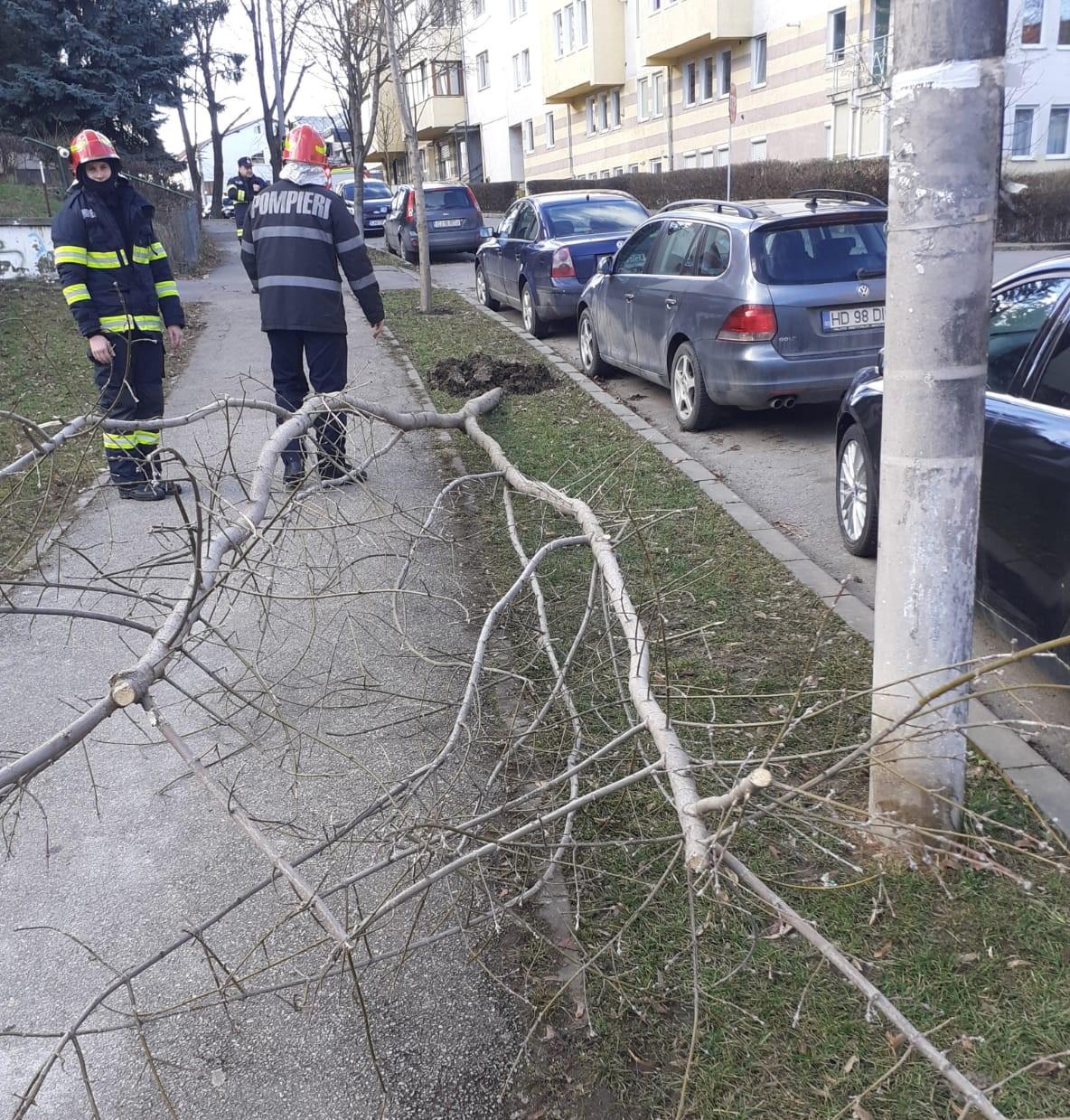 WhatsApp Image 2021-02-04 at 06.13.32.jpeg