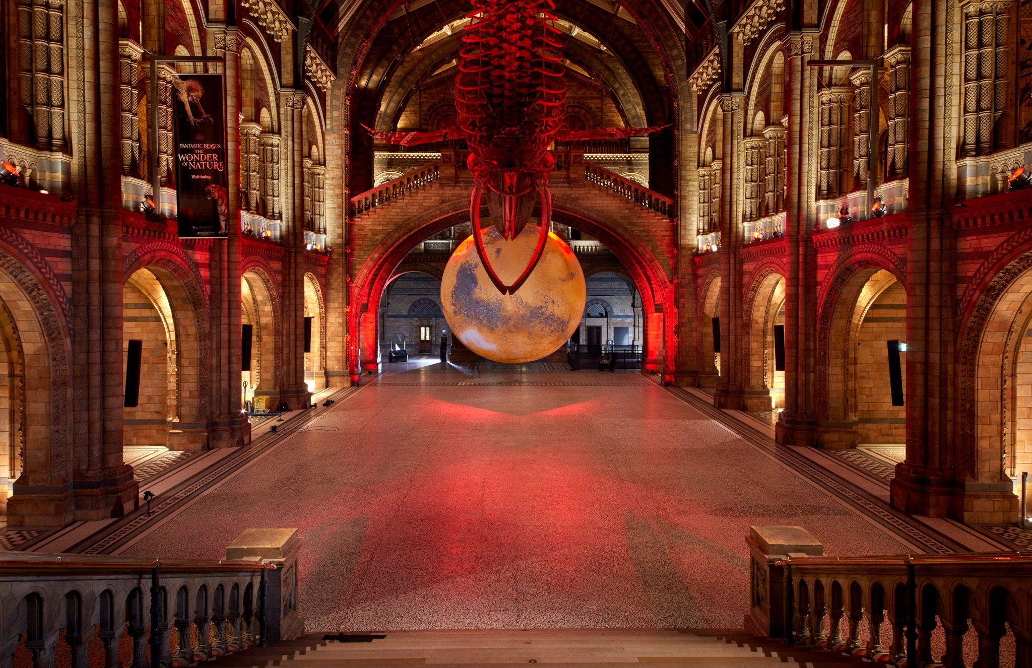 Museum of Natural Sciences - Houston - US (2).jpeg