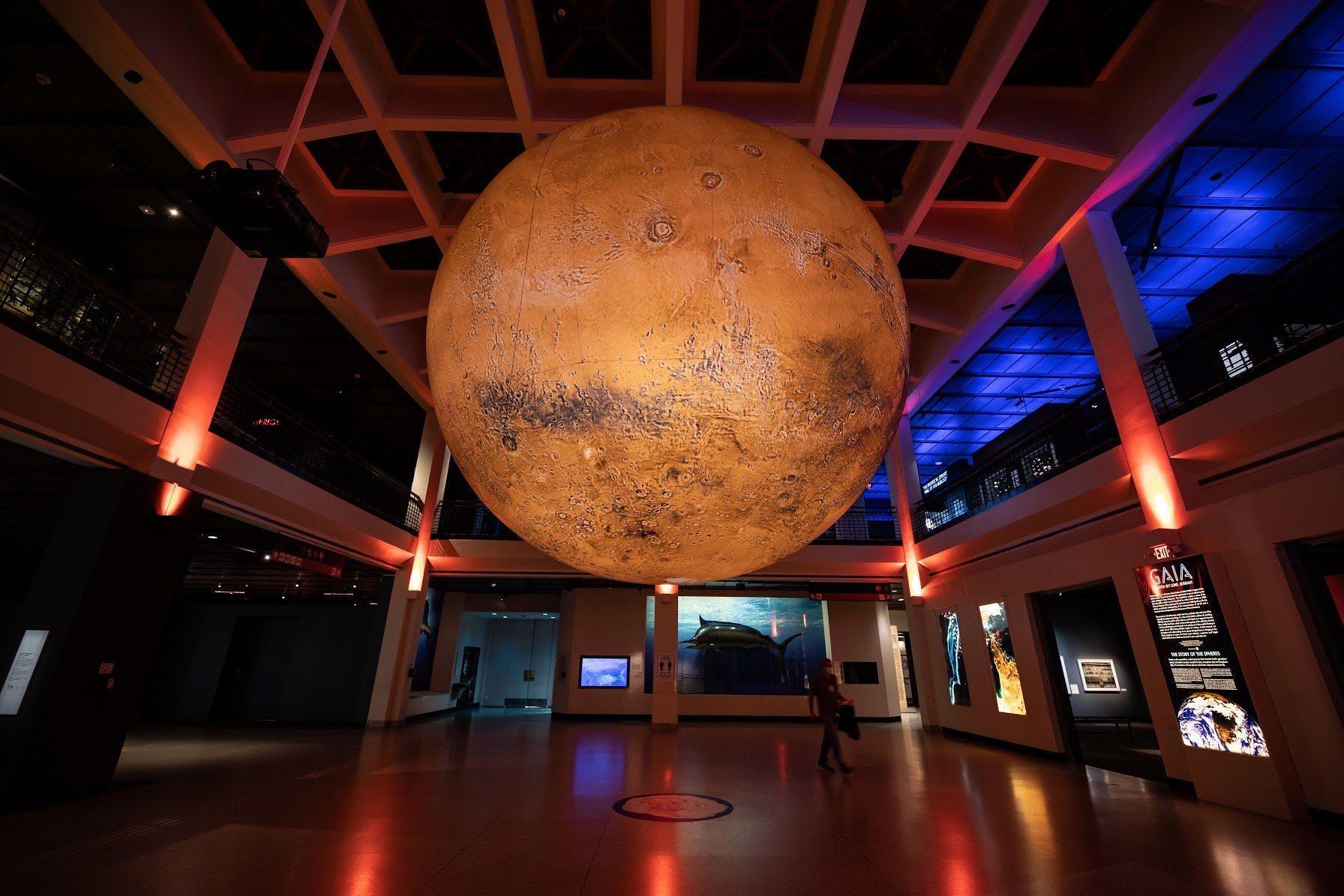 Museum of Natural Sciences - Houston - US.jpeg