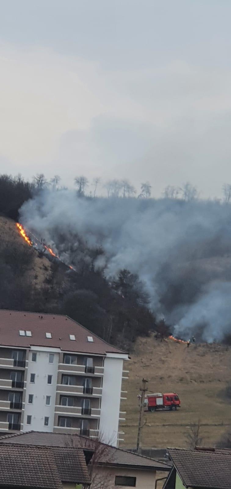 WhatsApp Image 2021-03-09 at 18.17.35.jpeg