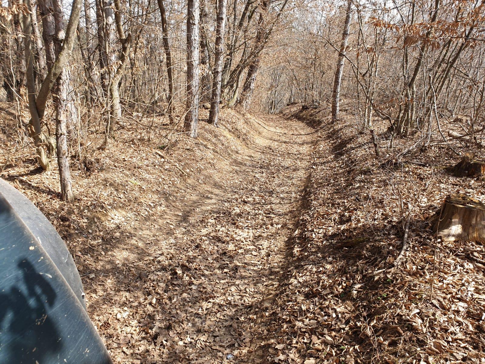 WhatsApp Image 2021-03-29 at 15.12.08 (1).jpeg