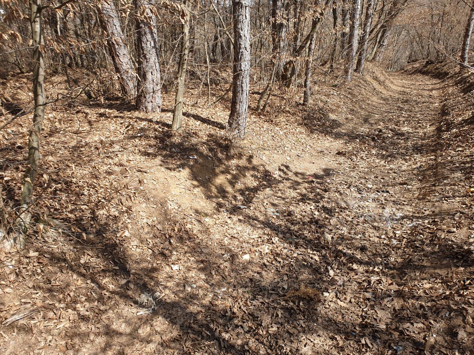 WhatsApp Image 2021-03-29 at 15.12.08 (2).jpeg