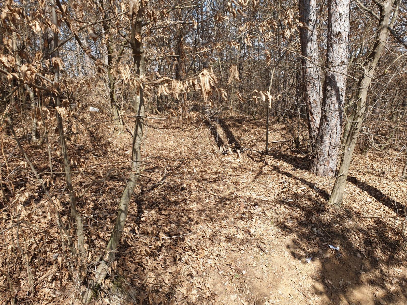 WhatsApp Image 2021-03-29 at 15.12.08 (5).jpeg