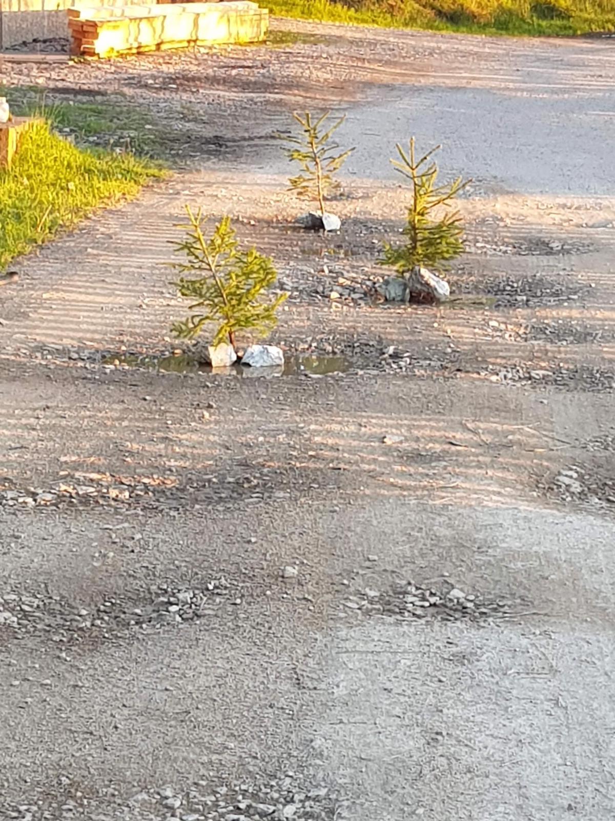 WhatsApp Image 2021-06-06 at 23.42.01.jpeg