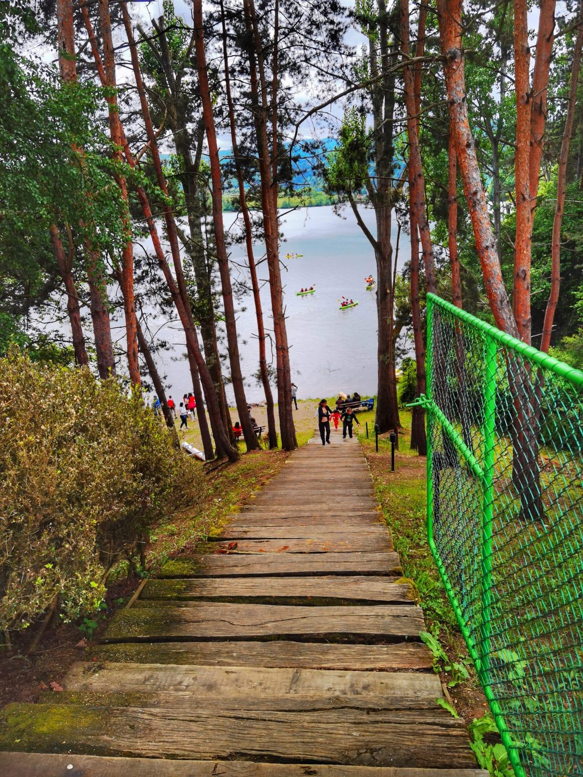 Caiac SMile_Gilau (2).jpeg