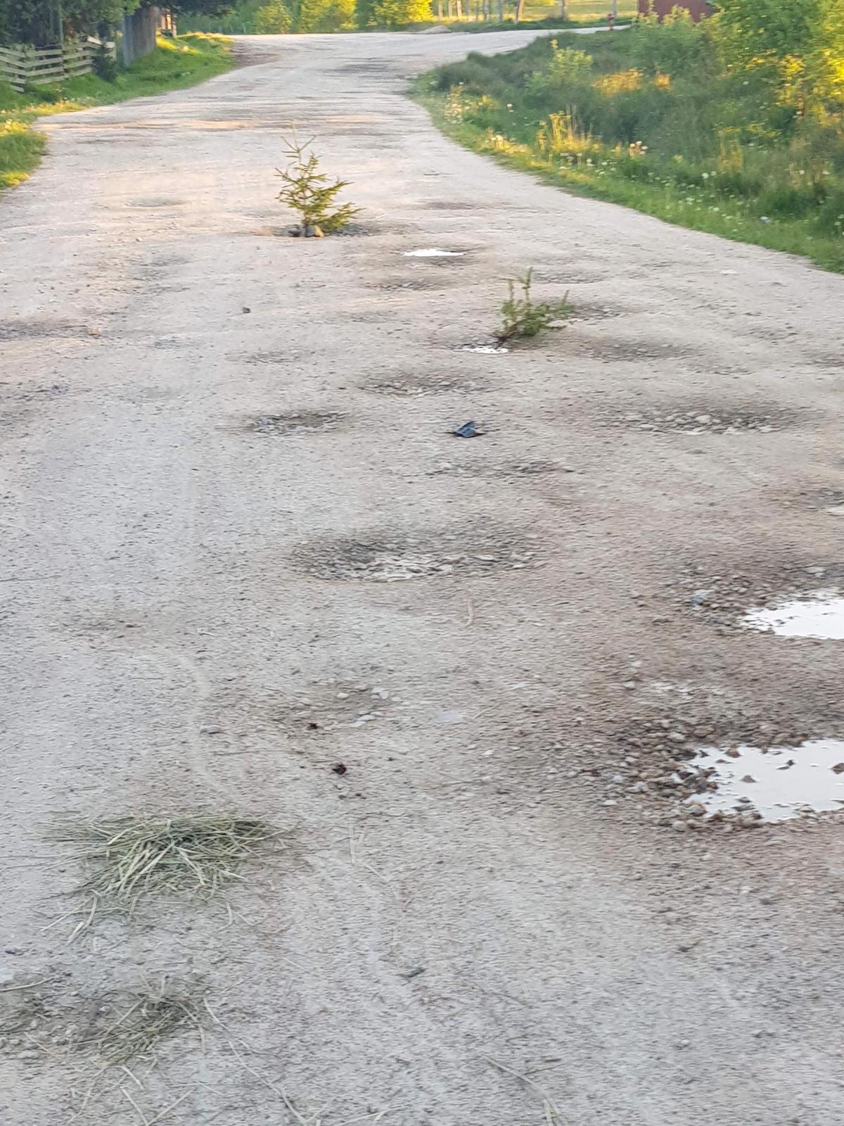 WhatsApp Image 2021-06-06 at 23.42.01 (1).jpeg