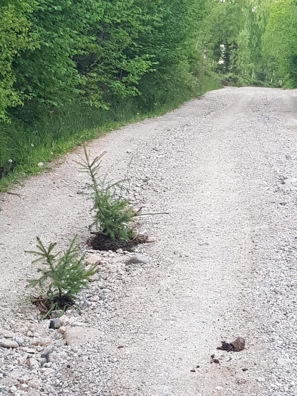 WhatsApp Image 2021-06-06 at 23.42.02.jpeg