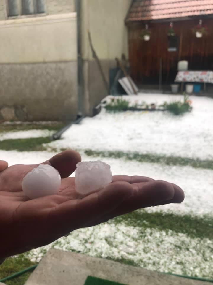 204475532_4283415025050102_6909770441589281376_n (1).jpg