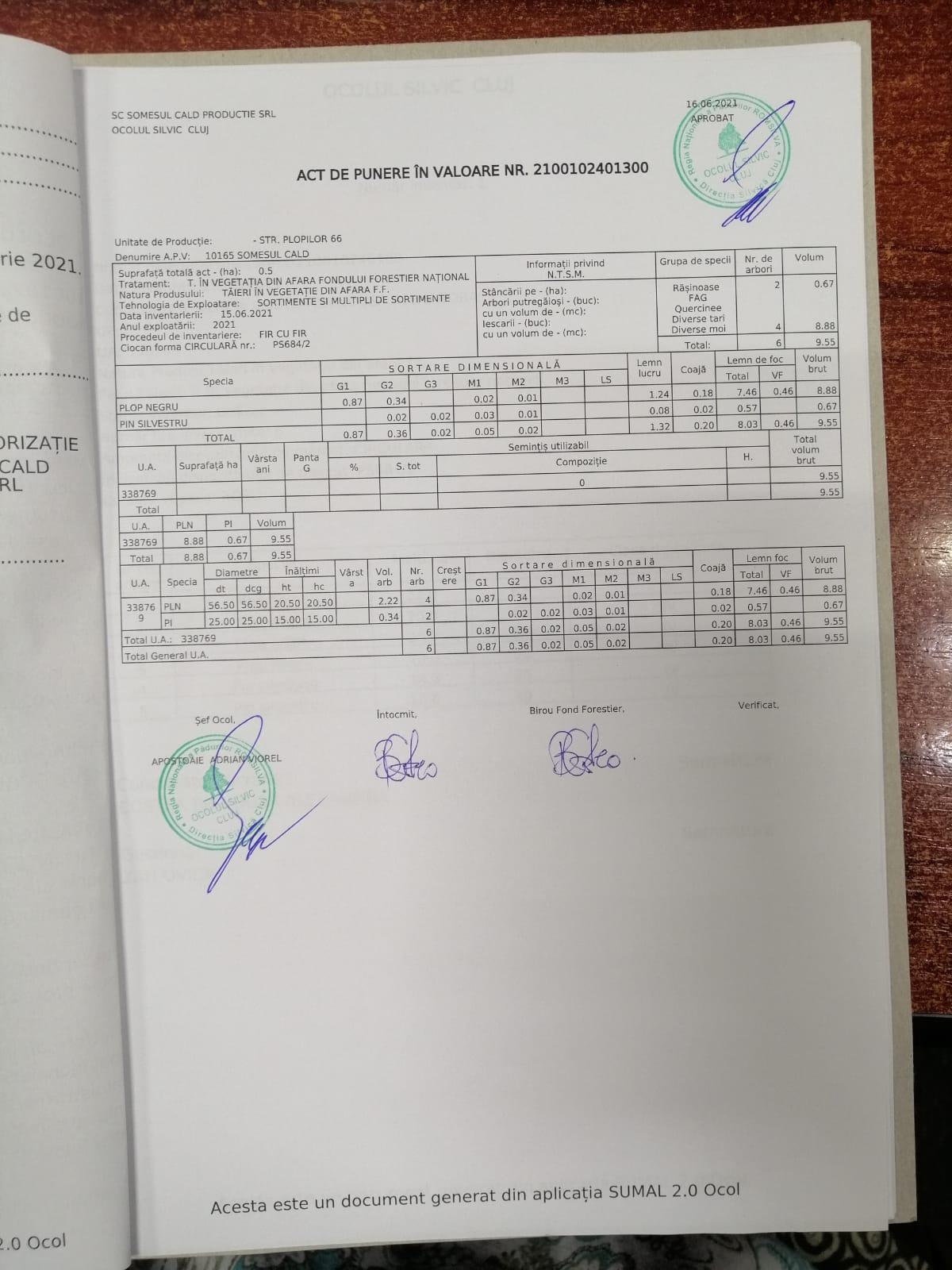 WhatsApp Image 2021-06-23 at 10.26.58 (1).jpeg