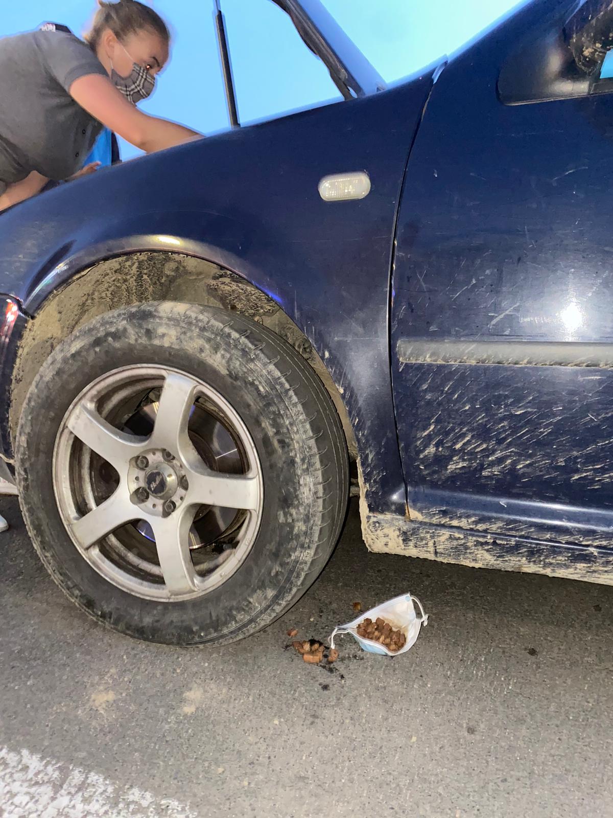 Pompierii au REFUZAT sa salveze un pui de pisică din parcare VIVO 