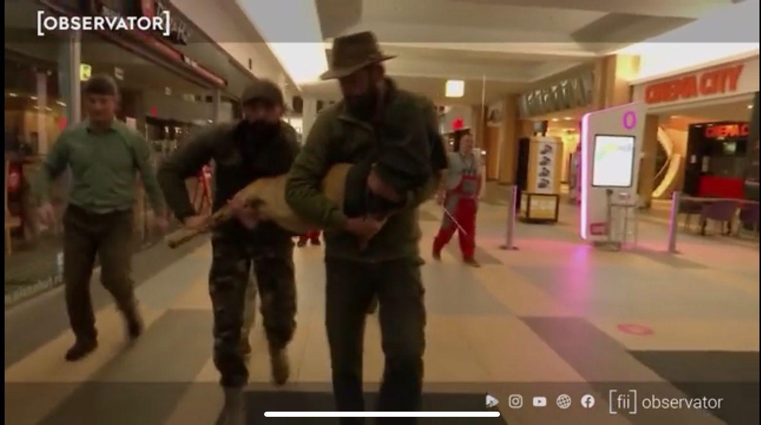 WhatsApp Image 2021-08-24 at 12.16.38 (1).jpeg