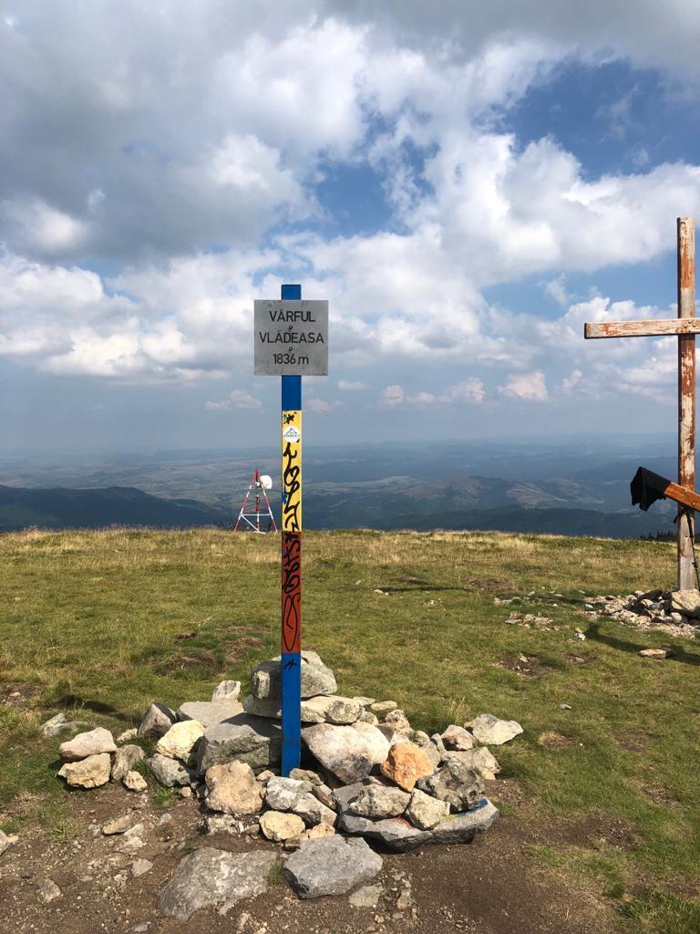 WhatsApp Image 2021-08-14 at 16.35.42.jpeg