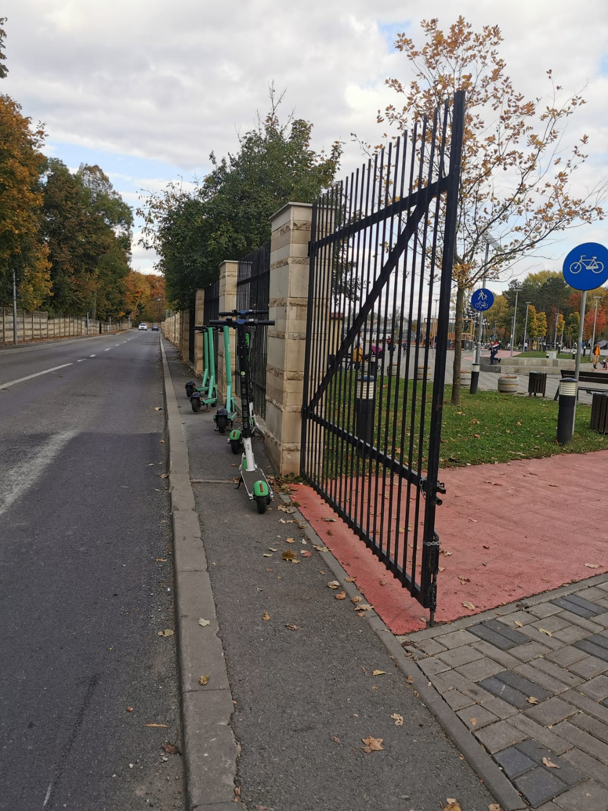 in spite of Hornet puberty Trotuarele înguste ale Clujului s-au transformat în „parcări” pentru trotinetele de la Bolt - FOTO - Ştiri de Cluj in spite of Hornet puberty Trotuarele înguste ale Clujului s-au transformat în „parcări” pentru trotinetele de la Bolt - FOTO - Ştiri de Cluj