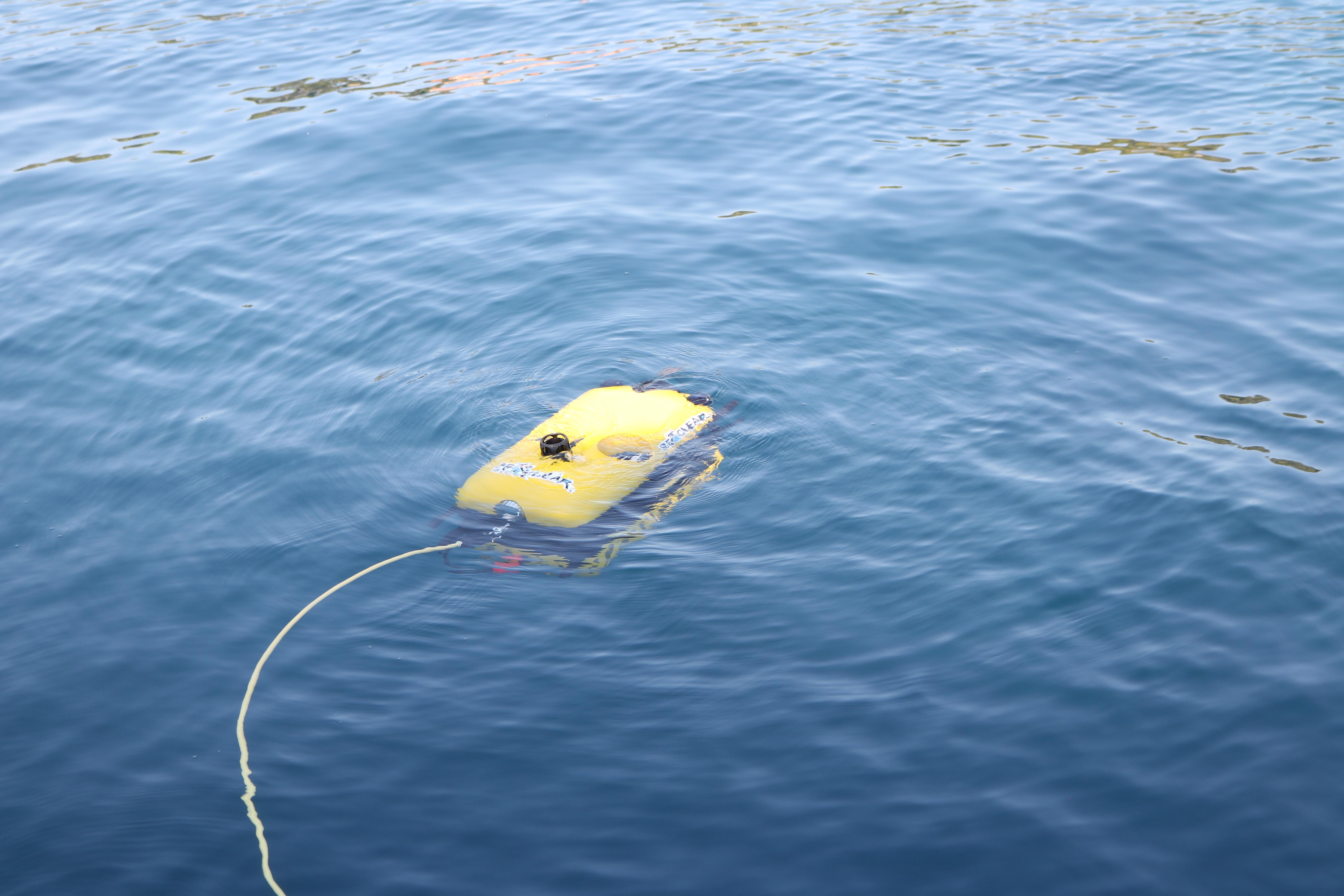 Robot subacvatic Seaclear MiniTortuga.jpg