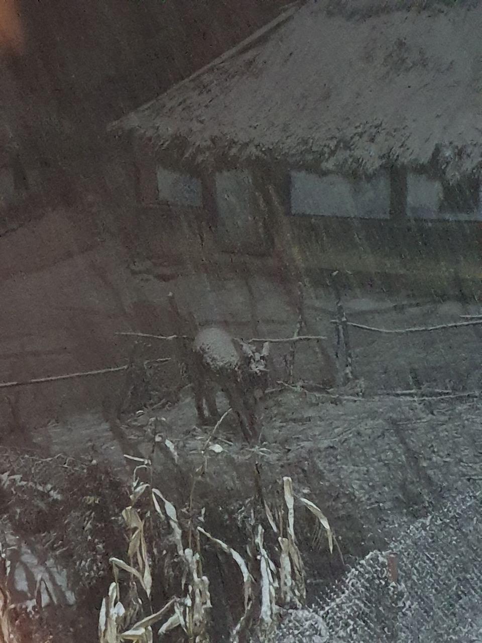 WhatsApp Image 2021-12-23 at 12.14.47 (1).jpeg