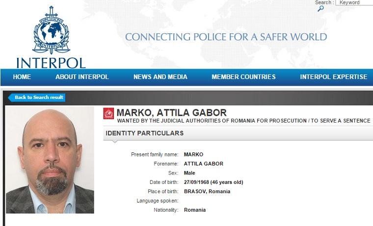 marko-attila-interpol.jpg