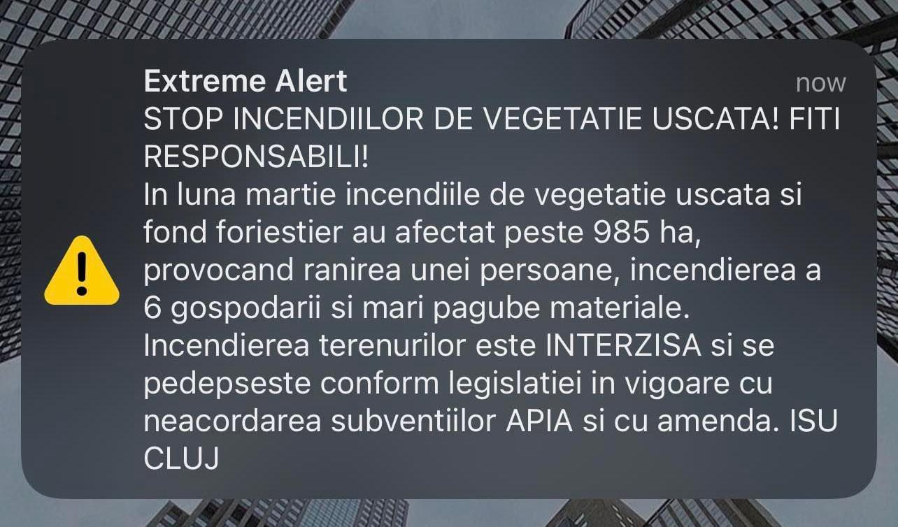 WhatsApp Image 2022-03-29 at 15.56.53.jpeg