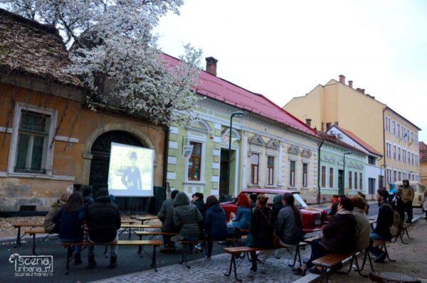 casa cu magnolii proiectie.jpeg