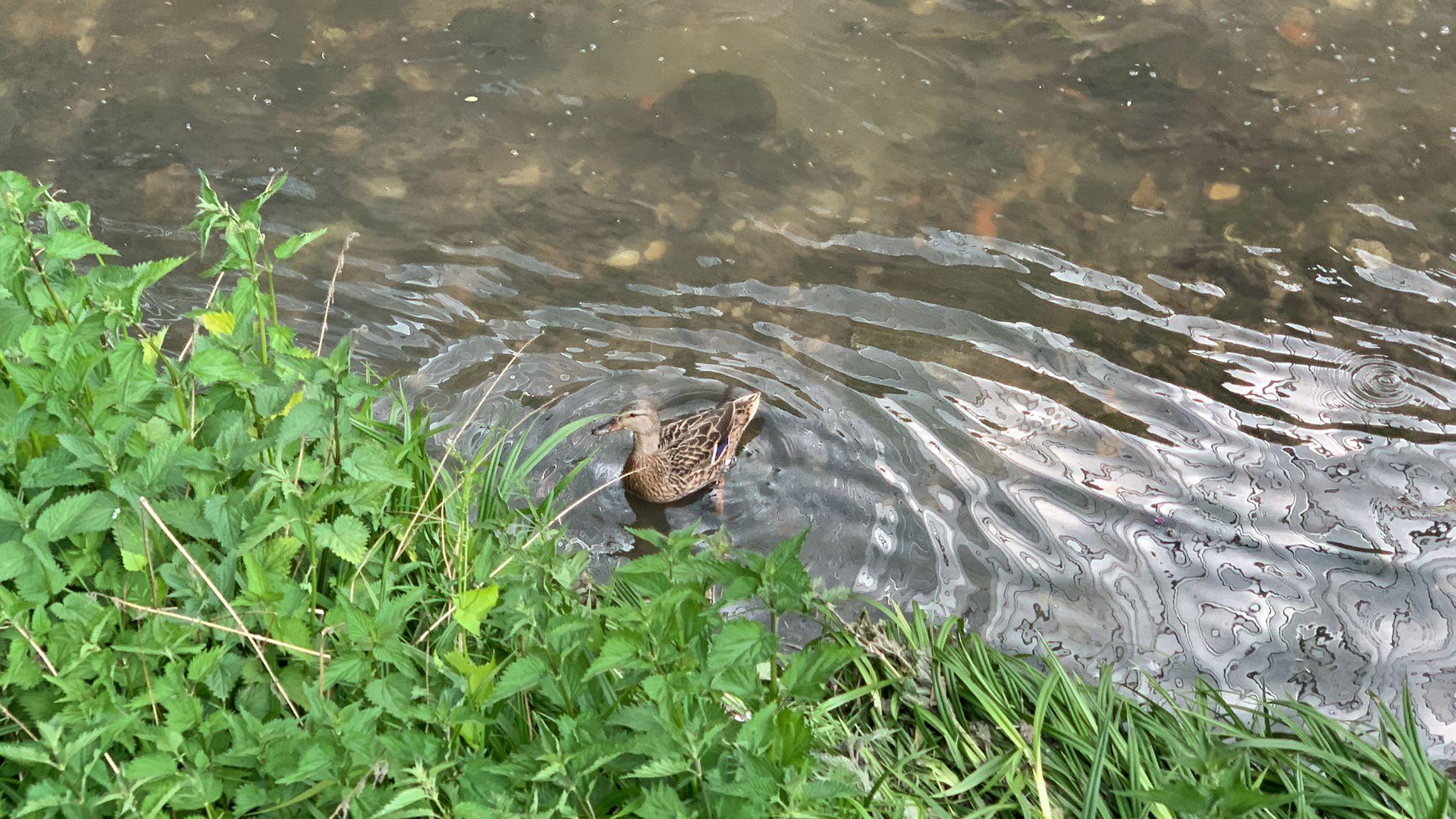 WhatsApp Image 2022-05-10 at 16.41.03 (1).jpeg