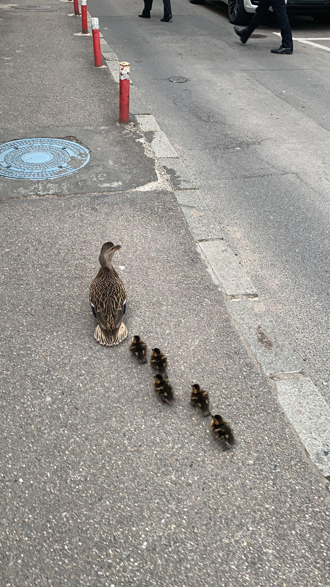 WhatsApp Image 2022-05-10 at 16.41.12.jpeg