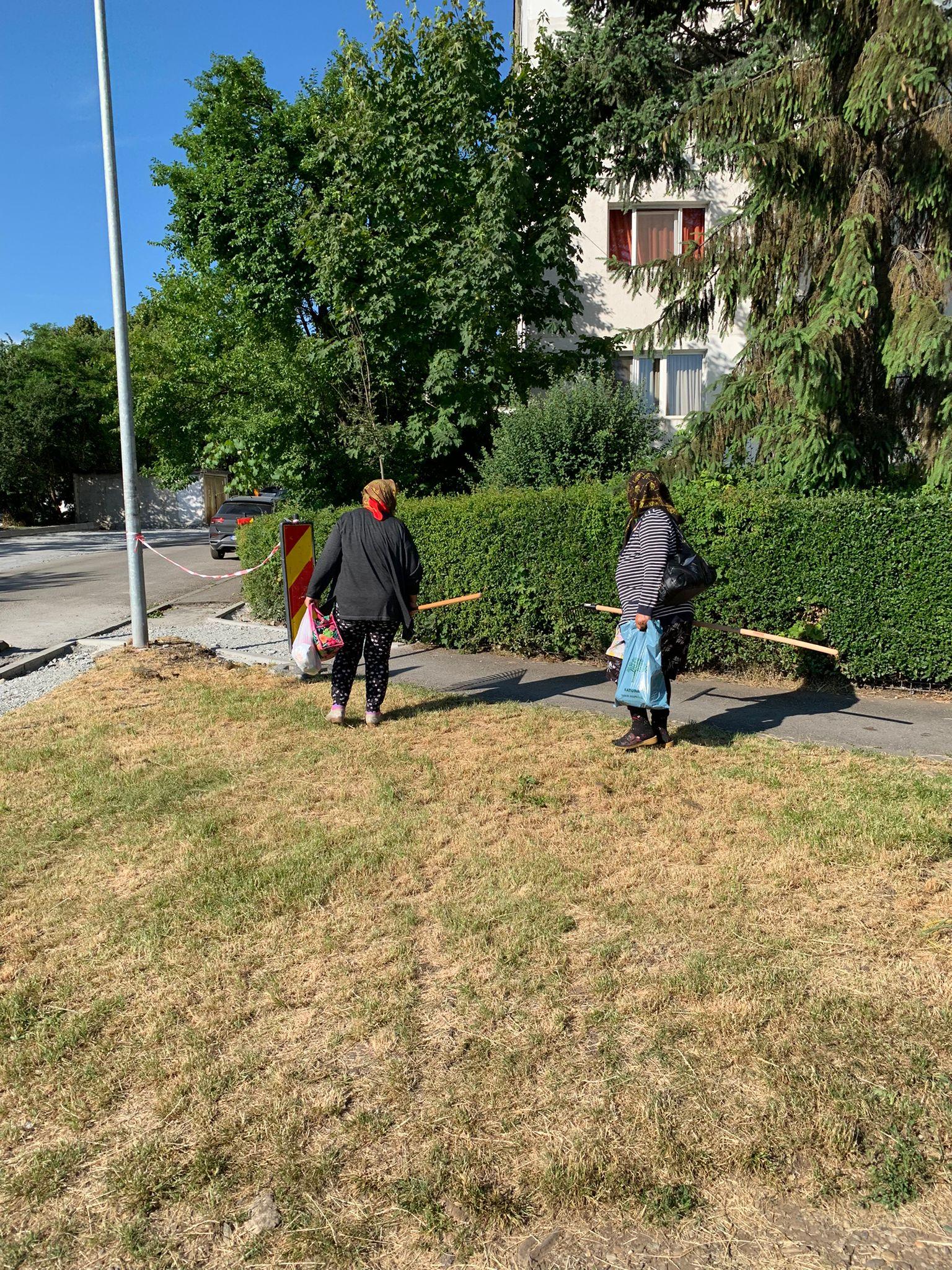 WhatsApp Image 2022-06-22 at 08.41.46.jpeg