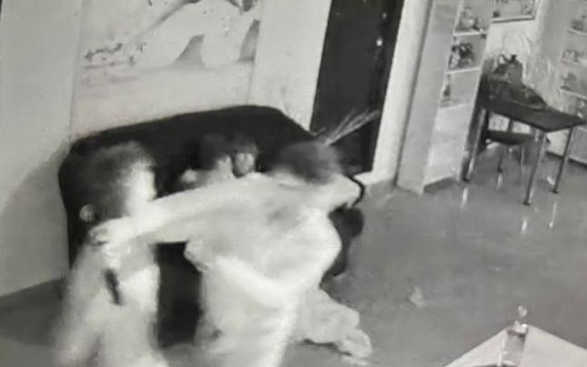 altercatie hostel.jpg