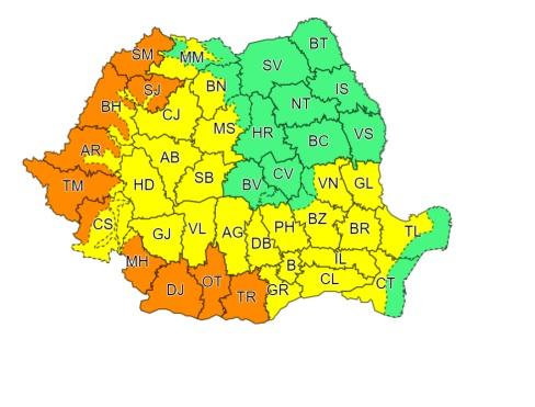 cod galben canicula cluj.jpg